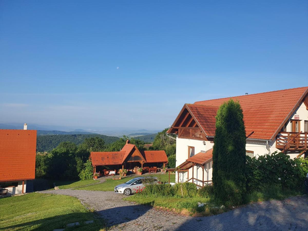 Pensiunea Szilas Panzió Păuleni Esterno foto