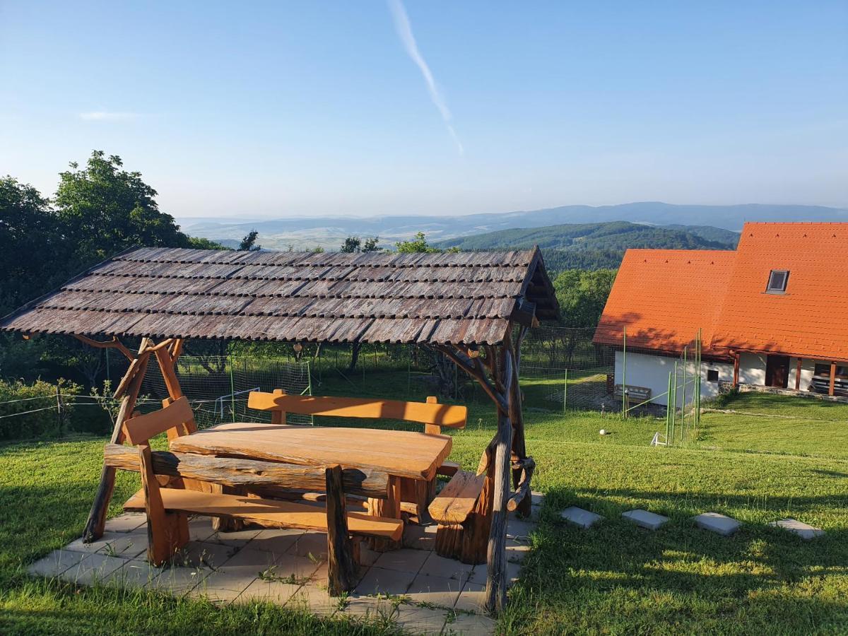 Pensiunea Szilas Panzió Păuleni Esterno foto