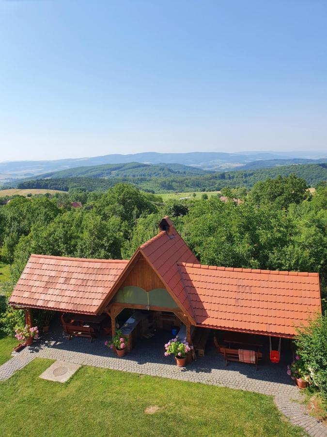 Pensiunea Szilas Panzió Păuleni Esterno foto