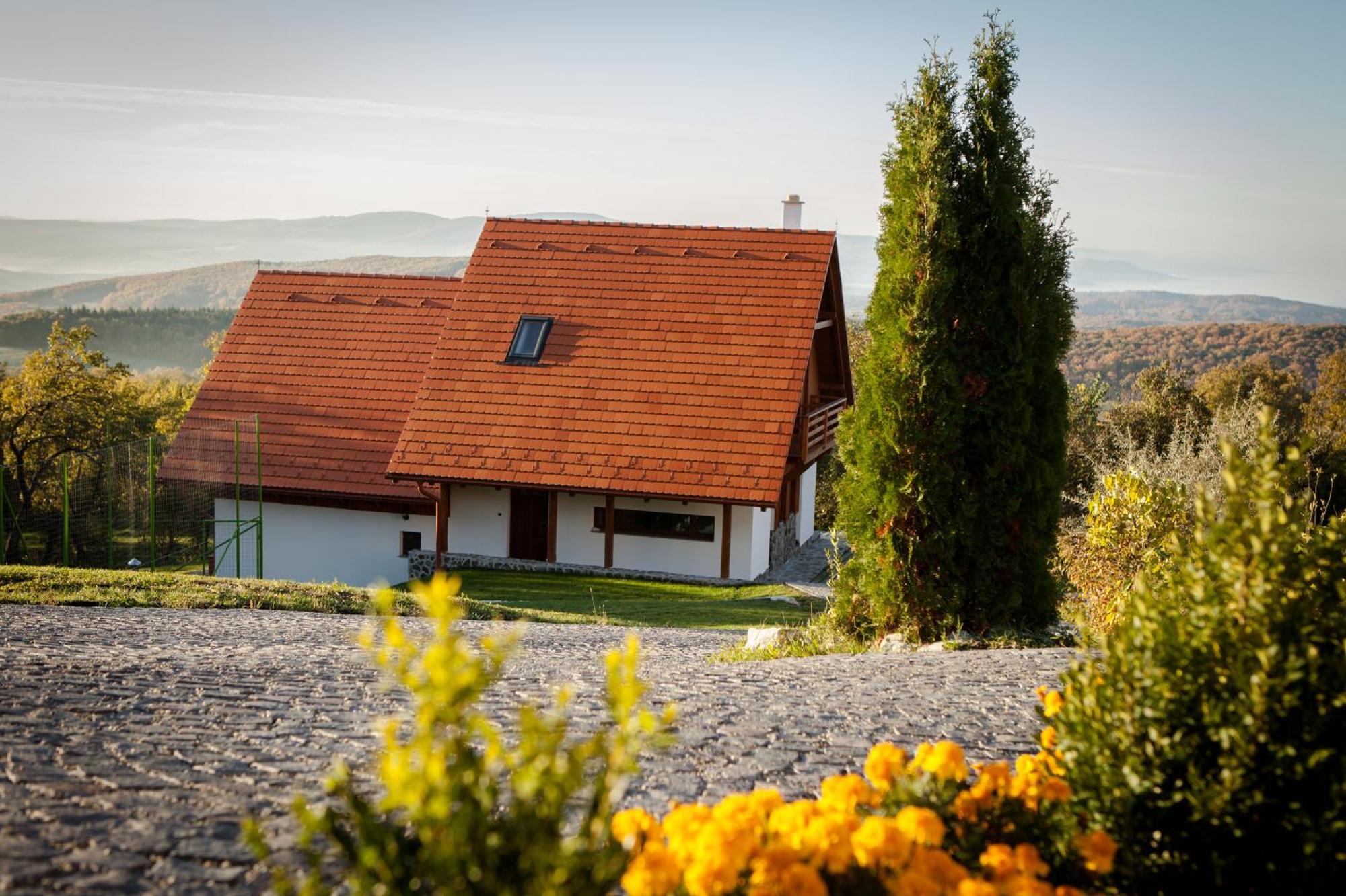 Pensiunea Szilas Panzió Păuleni Esterno foto