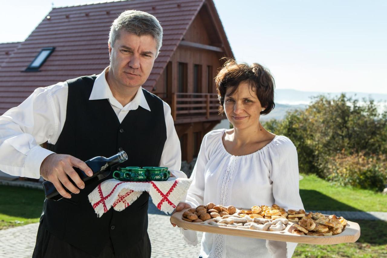 Pensiunea Szilas Panzió Păuleni Esterno foto